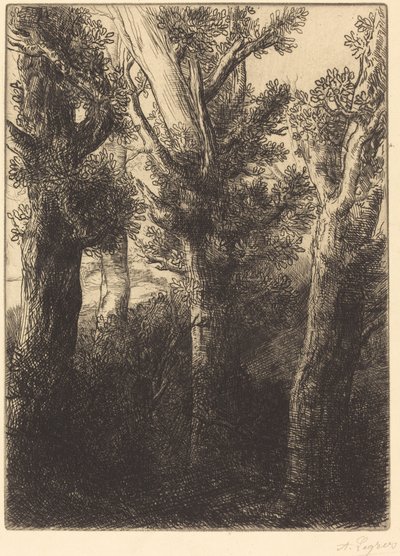Německý les, Downley od Alphonse Legros