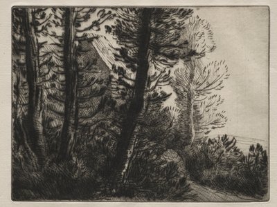 Strážnice. od Alphonse Legros