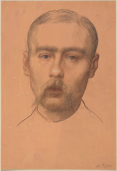 Hlava muže  (pravděpodobně portrét profesora E. D. Adamse) od Alphonse Legros