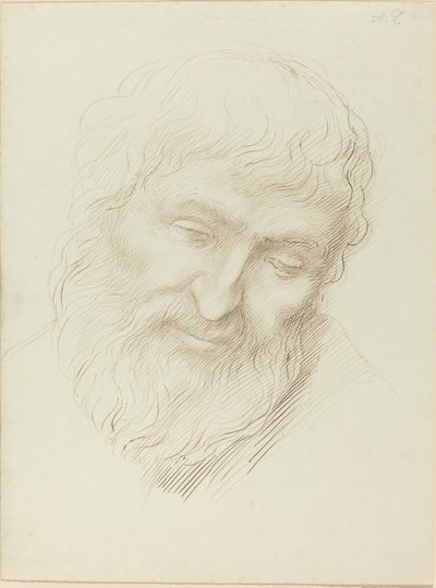 Hlava muže od Alphonse Legros