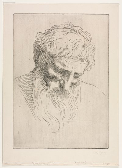 Hlava muže. od Alphonse Legros