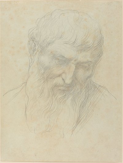 Hlava muže s kudrnatými vlasy a vousy od Alphonse Legros