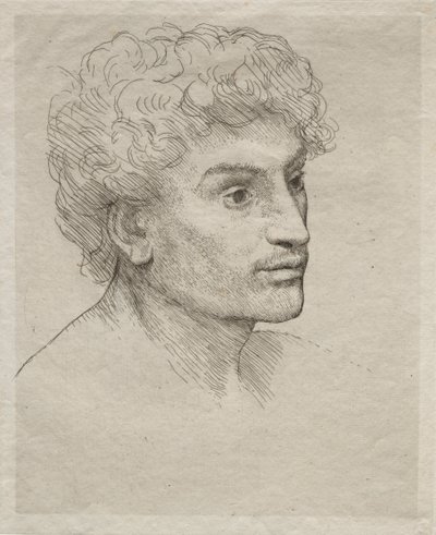 Hlava mladého muže od Alphonse Legros