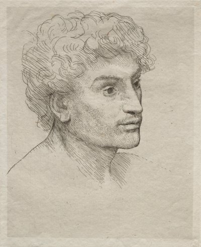 Hlava mladého muže. od Alphonse Legros