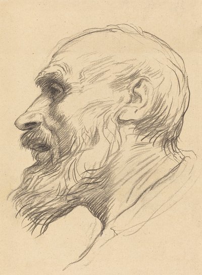 Hlava starého muže. od Alphonse Legros