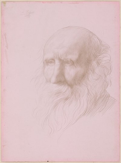 Hlava starého muže od Alphonse Legros