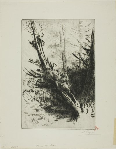 V lese od Alphonse Legros