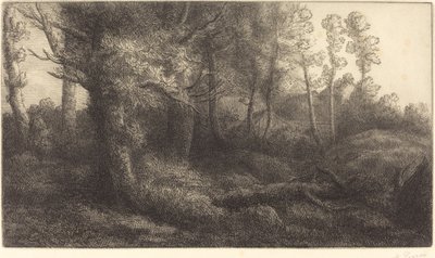 V lese Lisiere de foret. od Alphonse Legros