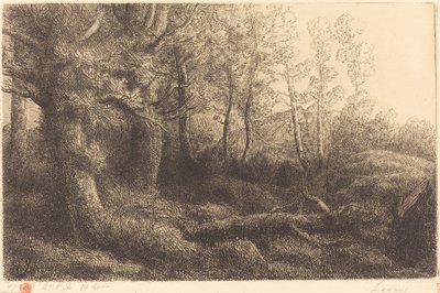 V lese Lisiere de foret. od Alphonse Legros