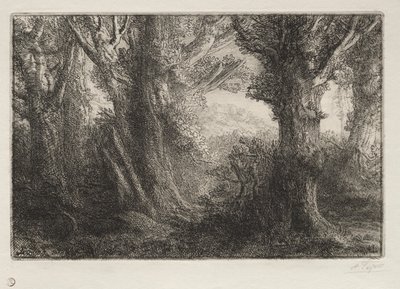 V lese v Conteville od Alphonse Legros