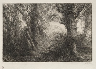 V lese v Conteville. od Alphonse Legros