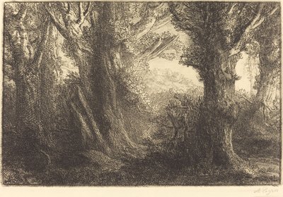 V lese Conteville (Dans la foret de Conteville) od Alphonse Legros