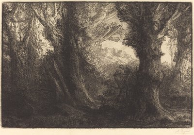V lese Conteville (Dans la foret de Conteville) od Alphonse Legros