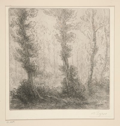 Malé jezero od Alphonse Legros