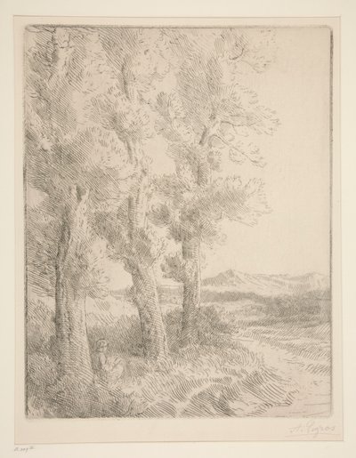 Žena čte: Lekce pod stromy od Alphonse Legros