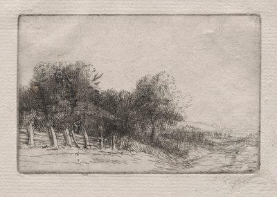 Krajina od Alphonse Legros