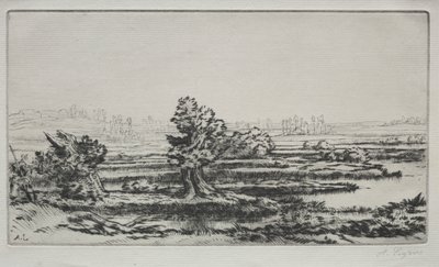 Krajina od Alphonse Legros