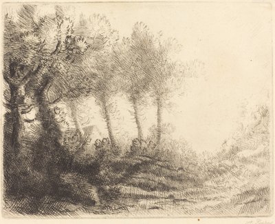 Krajina Krajina. od Alphonse Legros