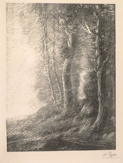 Krajina Paysage. od Alphonse Legros