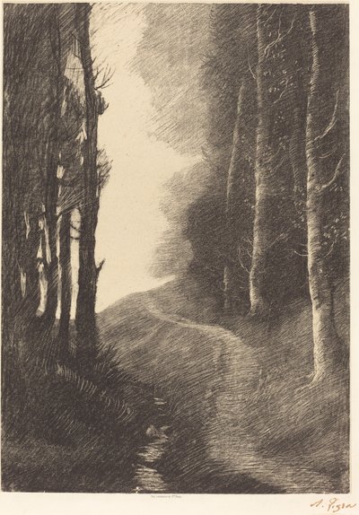 Krajina s břízami od Alphonse Legros