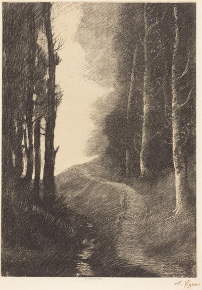 Krajina s břízami od Alphonse Legros