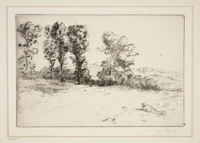 Le pre ensoleille (louka ve slunci) od Alphonse Legros