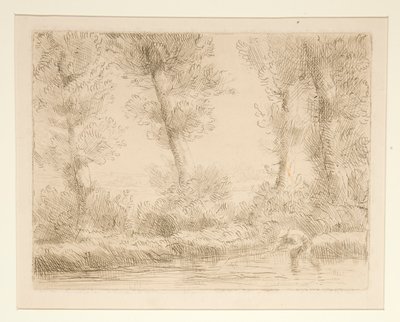Les bords de la Liane (Břehy Liane) od Alphonse Legros