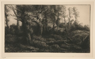 Lisiere de Foret (Okraj lesa) od Alphonse Legros