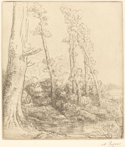 Little Pond La petite mare. od Alphonse Legros