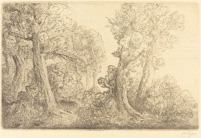 Blízko lesa, Veronne Pres du bois, Veronne. od Alphonse Legros