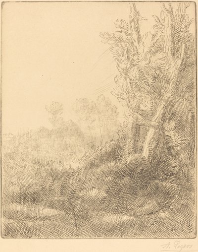 Stará vesnice Staré Město. od Alphonse Legros