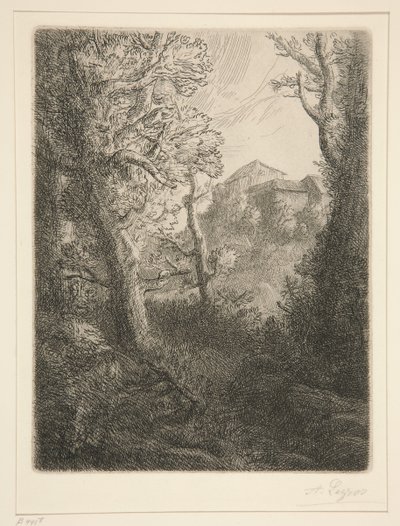 Krajina od Alphonse Legros