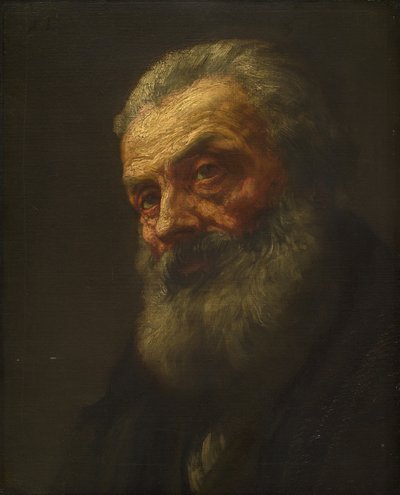 Portrét starého muže, konec 19.-začátek 20. století. od Alphonse Legros