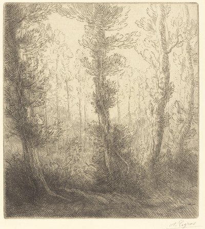 Malé jezero od Alphonse Legros