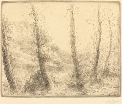 Malé jezero Malé jezero. od Alphonse Legros