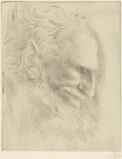 Studie hlavy muže od Alphonse Legros