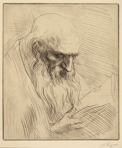 Studie starého muže při čtení od Alphonse Legros