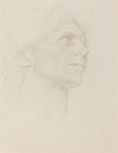 Studie ženské hlavy, otočená doprava. od Alphonse Legros