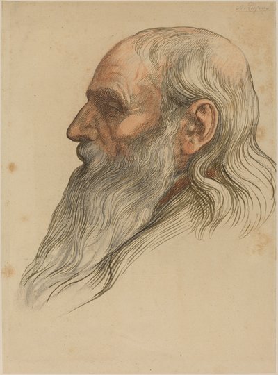 Studie mužské hlavy s plnovousem. od Alphonse Legros