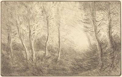 Východ slunce, lesy v Clamardu od Alphonse Legros