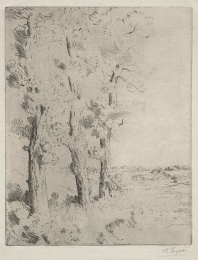 Čtenář: Přednáška pod stromy, c. 1882. od Alphonse Legros
