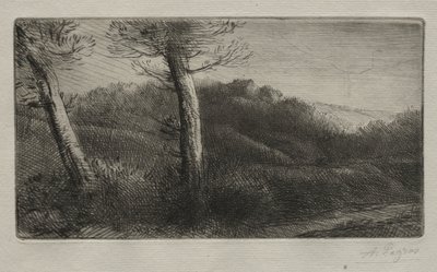 Cestovatel natažený na trávě, c. 1888. od Alphonse Legros