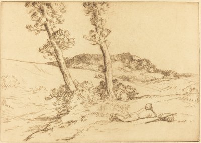 Cestovatel ležící na trávě Cestovatel ležící na trávě. od Alphonse Legros