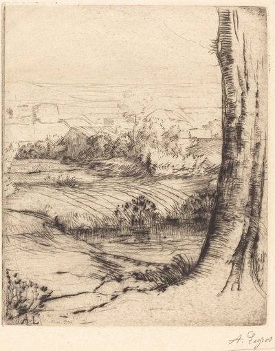 Pohled na rákosí (Coin de roseau) od Alphonse Legros