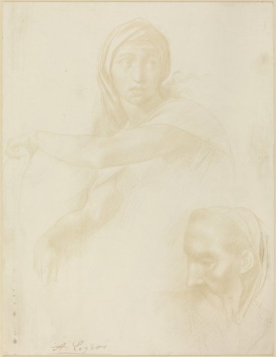 Studium delfské Sibyly; Hlava muže od Alphonse Legros after Michelangelo
