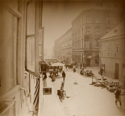 [Pohled z okna Muchova bytu, poblíž Amalienstrasse, Mnichov] od Alphonse Maria Mucha