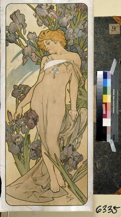 Iris (součást řady květin). Umělecké dílo Alfonse Marie Muchy (Alphonse Marie Mucha od Alphonse Marie Mucha