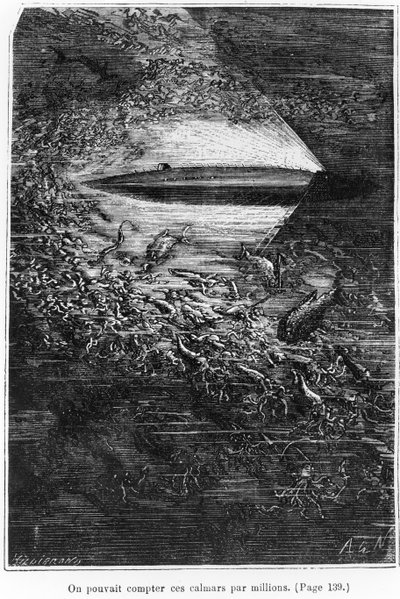 Ilustrace z 