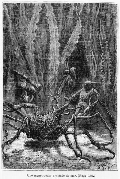 The Spider Crab, ilustrace z „20 000 mil pod mořem“ od Julese Verna (1828-1905), vyrytý Henri Theophilem Hildibrandem (1824-97) Paris, Hetzel, vydáno 1877 od Alphonse Marie de Neuville