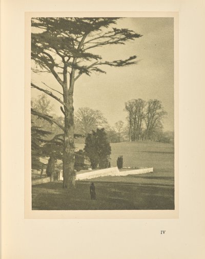 Okraj zahrady od Alvin Langdon Coburn